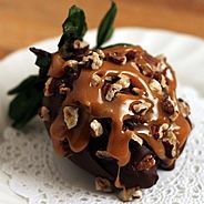 choc turtle
