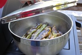 IMG_6518.jpg