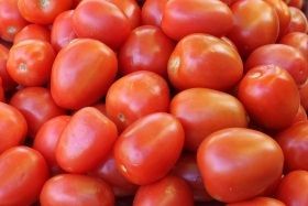 fresh tom