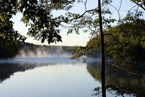 misty lake